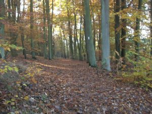 CTF-Boetzsee 060